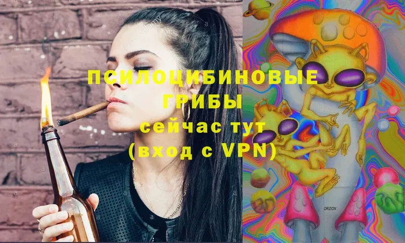 Галлюциногенные грибы MAGIC MUSHROOMS  Алексеевка 